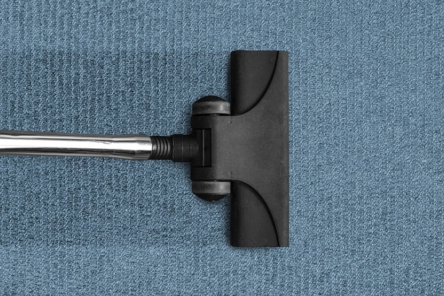 budget carpet cleaners