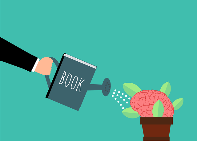 Business Info Schema