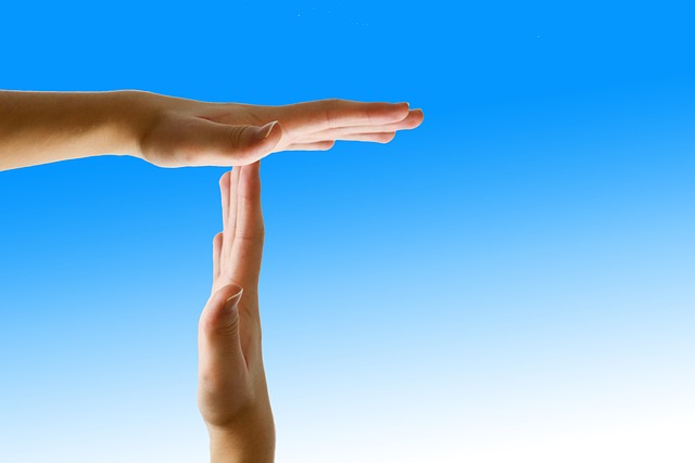 Business Interruption Insurance