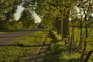 Car Insurance Roadside Assistance: Coverage, Benefits & Tips for Choosing