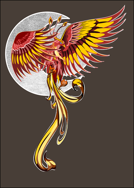Cardio kickboxing Phoenix