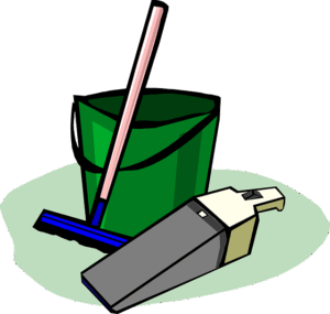 Citrus Bright: Top-Notch Vacancy Carpet Cleaners in Arizona