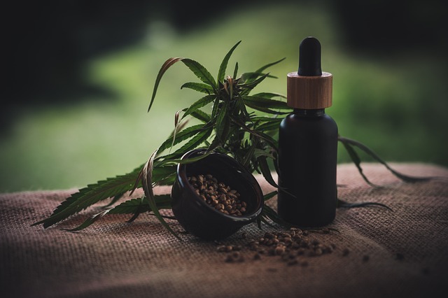 CBD Pain Relief Cream