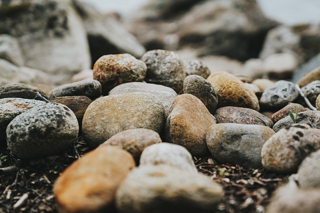 CBT therapy