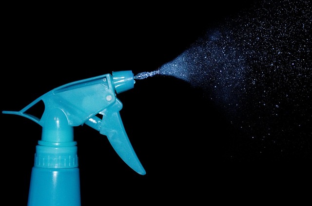Chandler carpet cleaners