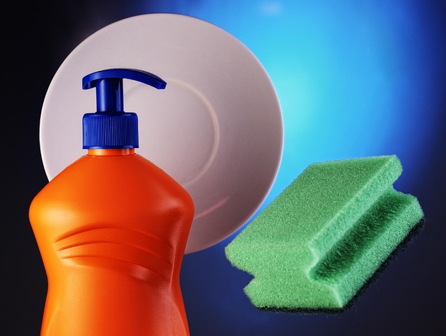 chemical-free carpet cleaning