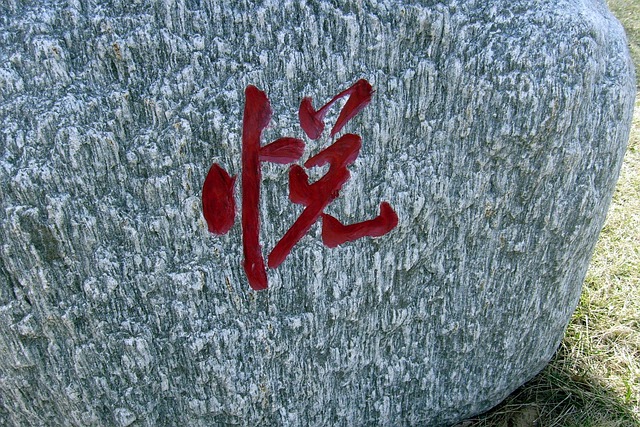 Chinese medicine Round Rock