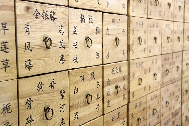 Chinese medicine Round Rock