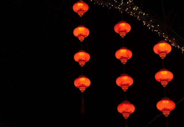 Chinese medicine Round Rock
