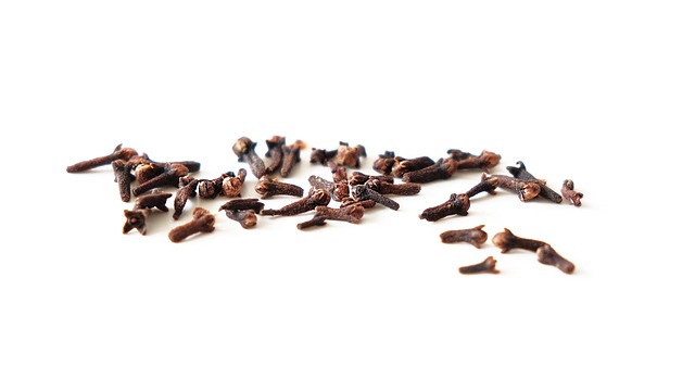 Chinese medicine Round Rock