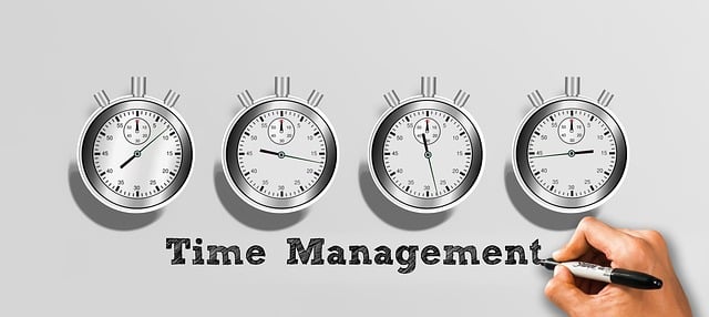 chiropractic patient scheduling