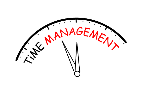 chiropractic patient scheduling