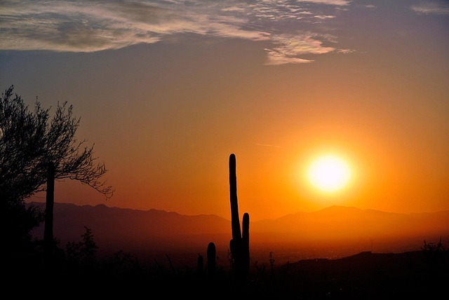 clinic insurance Arizona