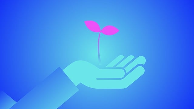 clinic lead nurturing