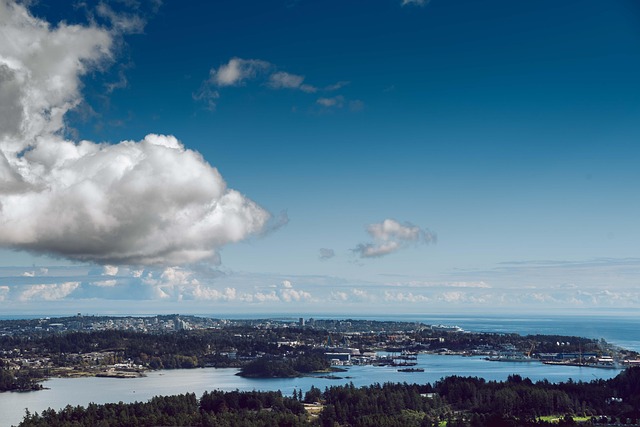 cloud-based Xero