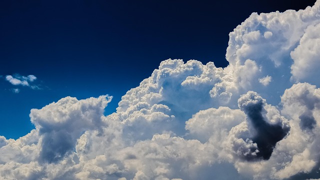 cloud-based Xero