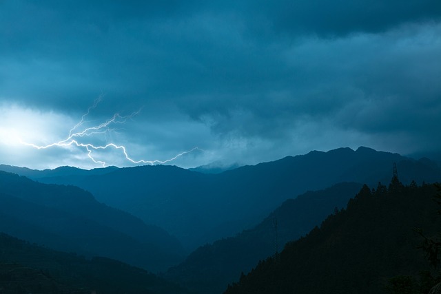 cloud-based Xero