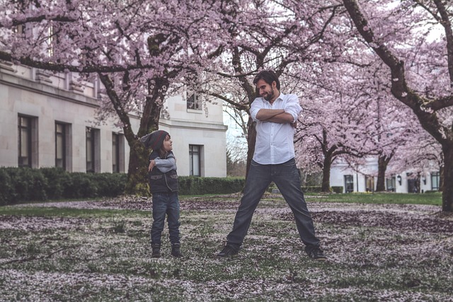 co-parenting mediation