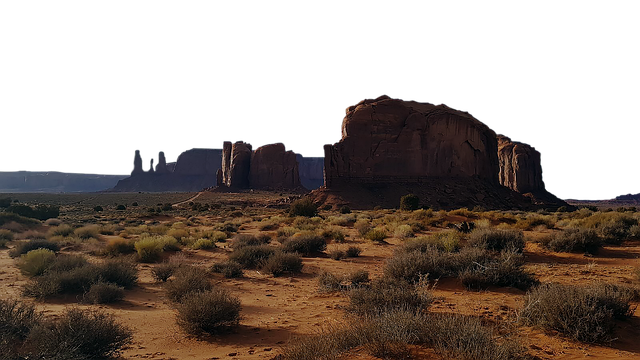 cognitive therapy Mesa
