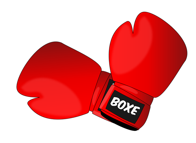 Combat Sports Tempe