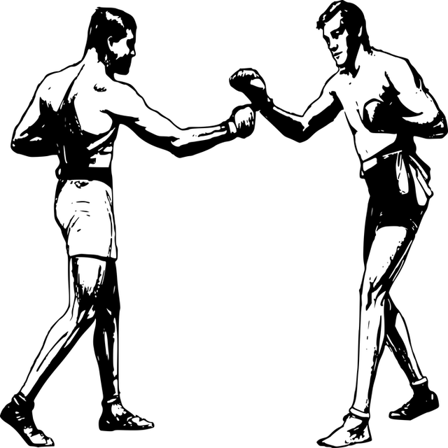Combat Sports Tempe
