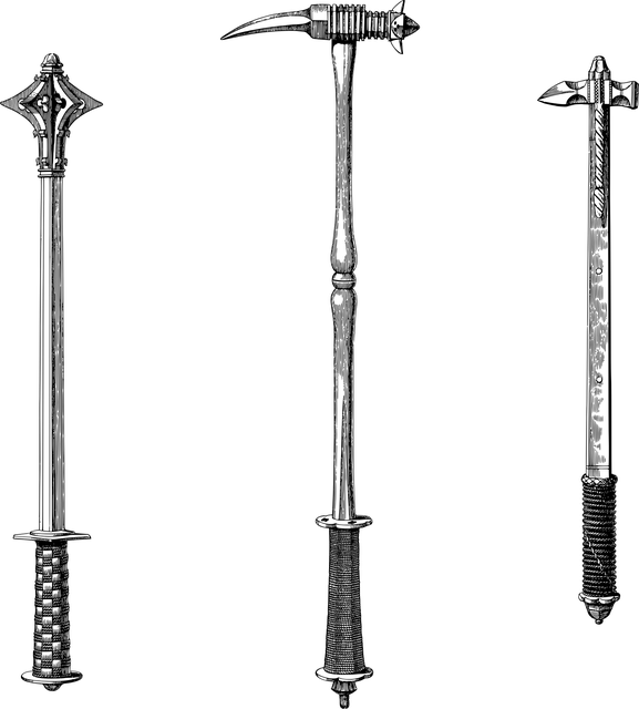 Combat Sports Tempe