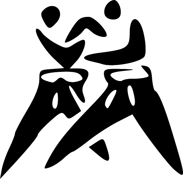 Combat Sports Tempe