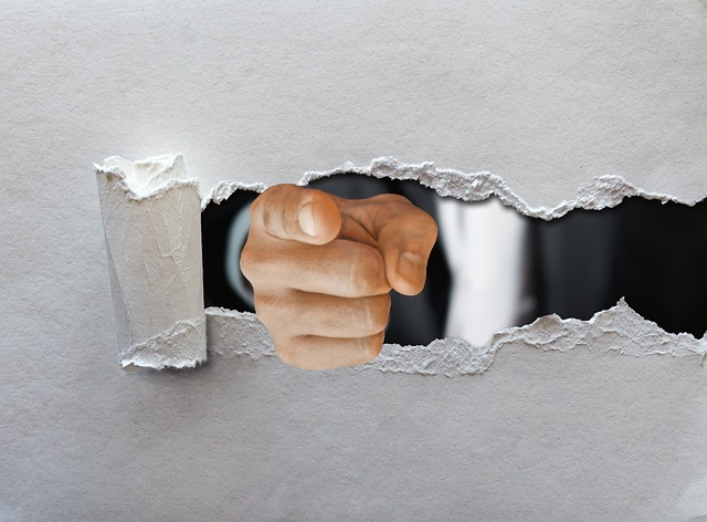 company asset mediation