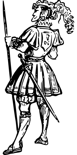 company asset mediation