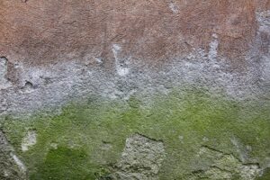 Concrete Foundation Solutions: Comprehensive Repair and Maintenance Guide