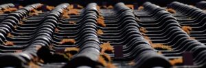 Reflective Roofs: Revolutionizing Cooling Efficiency with Cool Roofing Systems Services