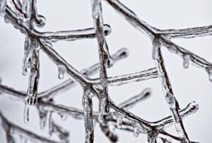 Cool Sculpting: Non-Invasive Fat Freezing for Body Contouring