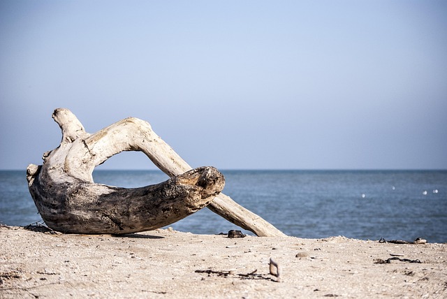 cost-effective mediation