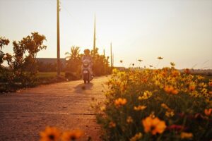 Restorative Marriage Counseling: Holistic Healing for Long-Lasting Love