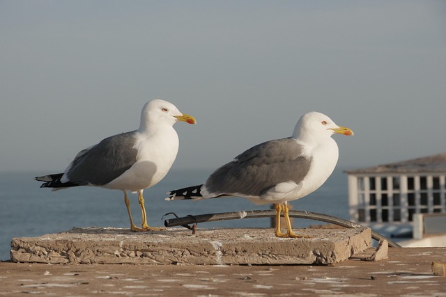 couples therapists near me