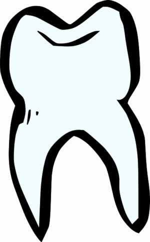 Secure Your Dental Practice with Tailored Liability Protection