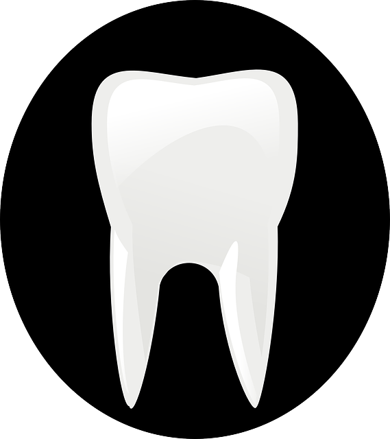 coverage for dental practices