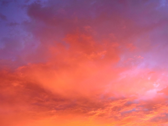 CPA cloud IT