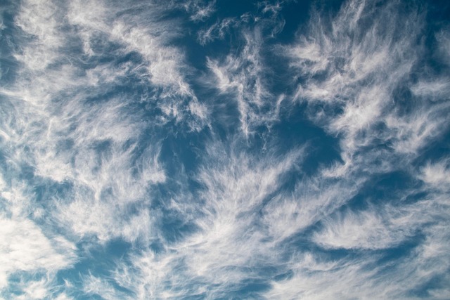 CPA cloud IT