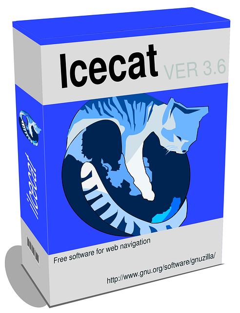 CPA tech software setup