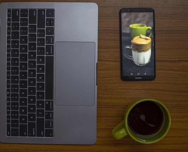 CPA work-from-home IT