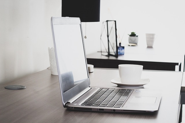 CPA work-from-home IT