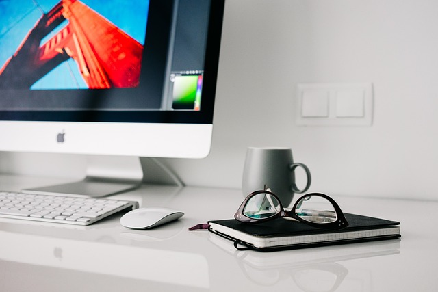 CPA work-from-home IT