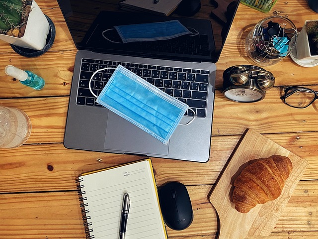 CPA work-from-home IT