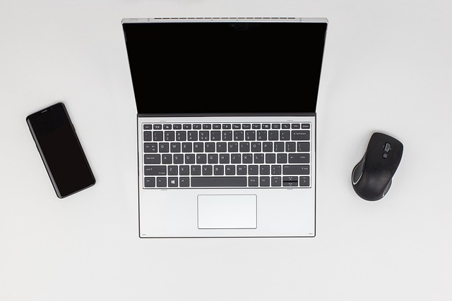 CPA work-from-home IT