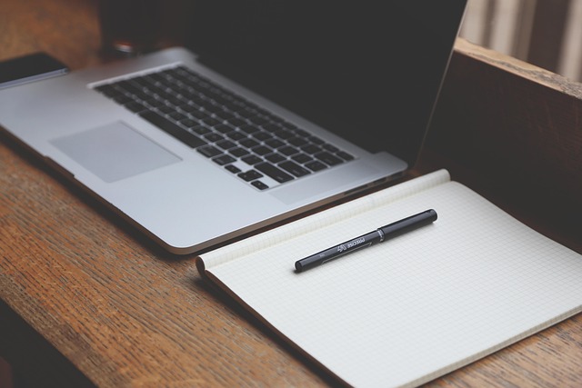 CPA work-from-home IT