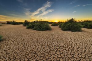 Concrete Waterproofing: Crack Repair, Conservation, & Effective Solutions