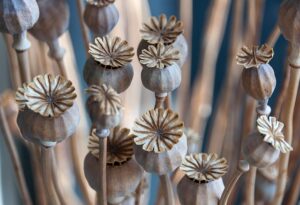 Family Planning Mediation: Customized Solutions for Peaceful Co-Parenting