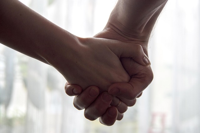 custody negotiation support