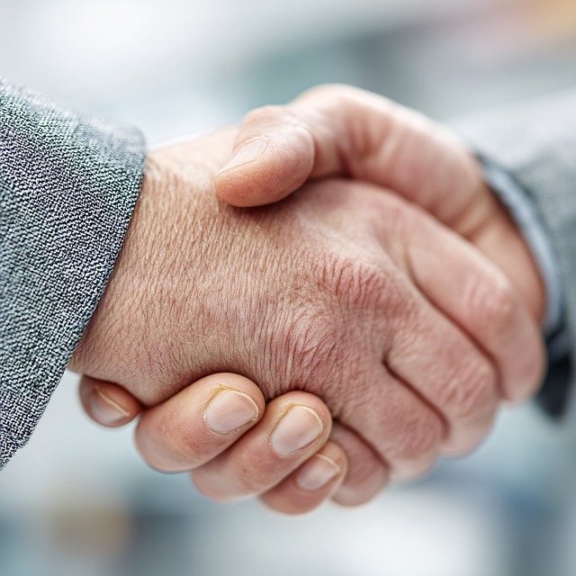 custody negotiation support